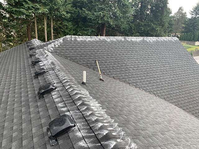 Rainier removes moss off of roofs