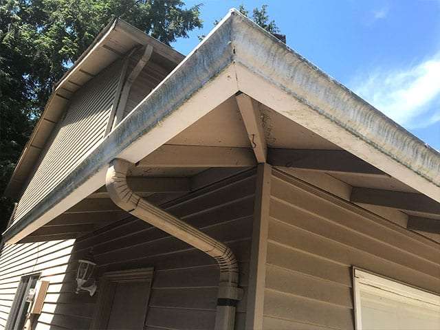 before gutter cleaning