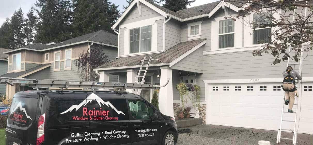 Rainier window and gutter cleaning services
