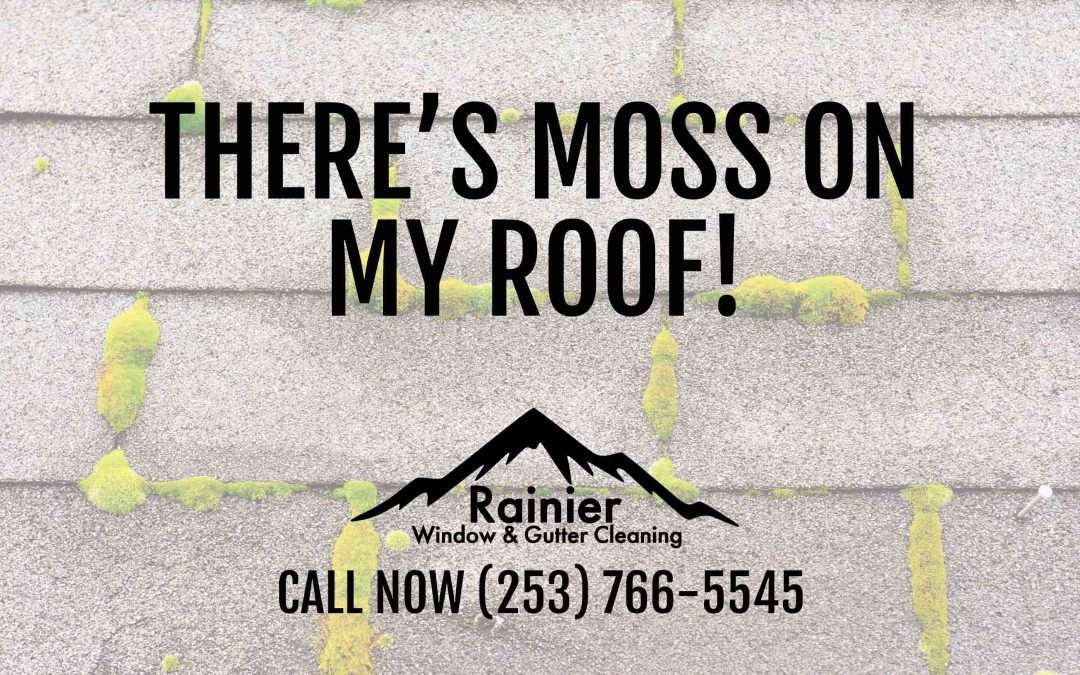 There’s Moss on My Roof! 