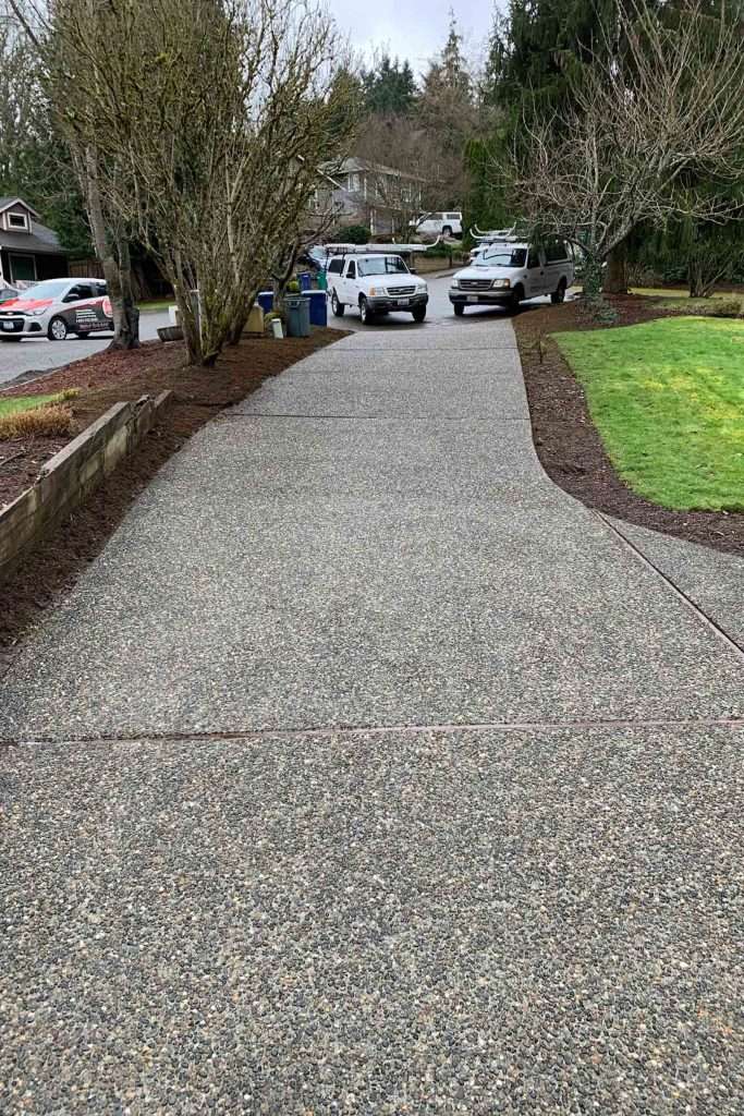 no more moss on driveway after Rainier pressure wash