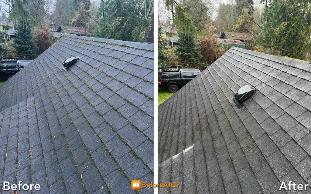 before and after moss removal on roof by Rainier Window and Roof Cleaning