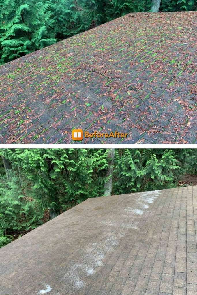 before and after roof cleaning to get moss off by Rainier Window and Gutter Cleaning