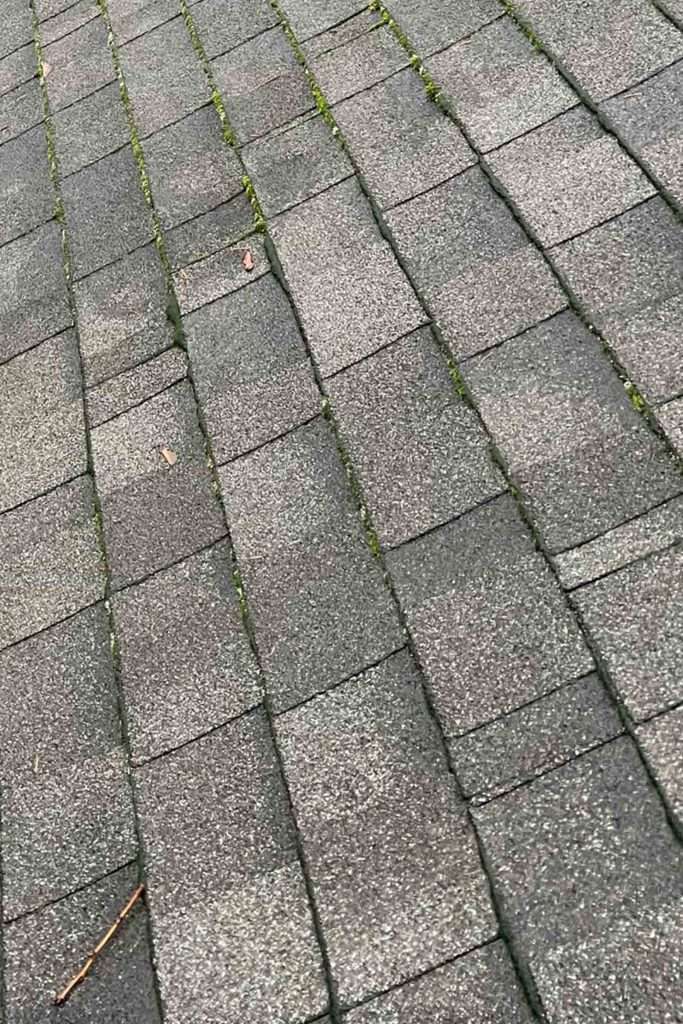 moss starting to grow on roof ready to remove