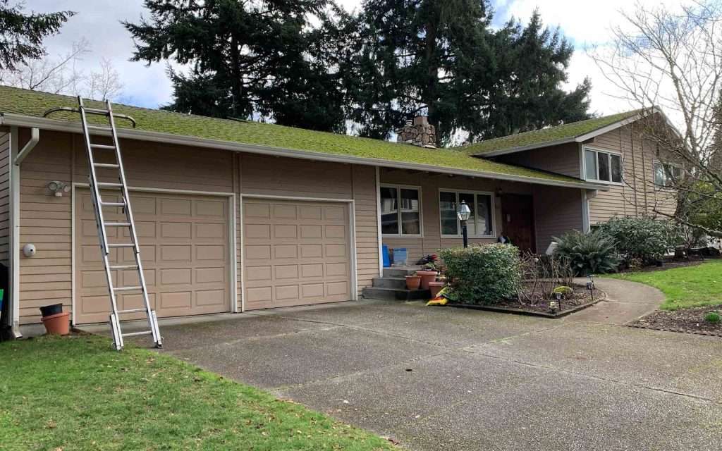 getting a moss removal on the roof
