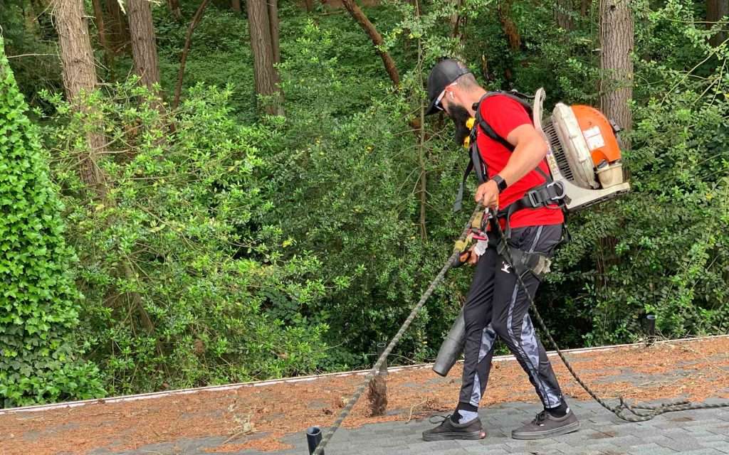 removing leaves from roof