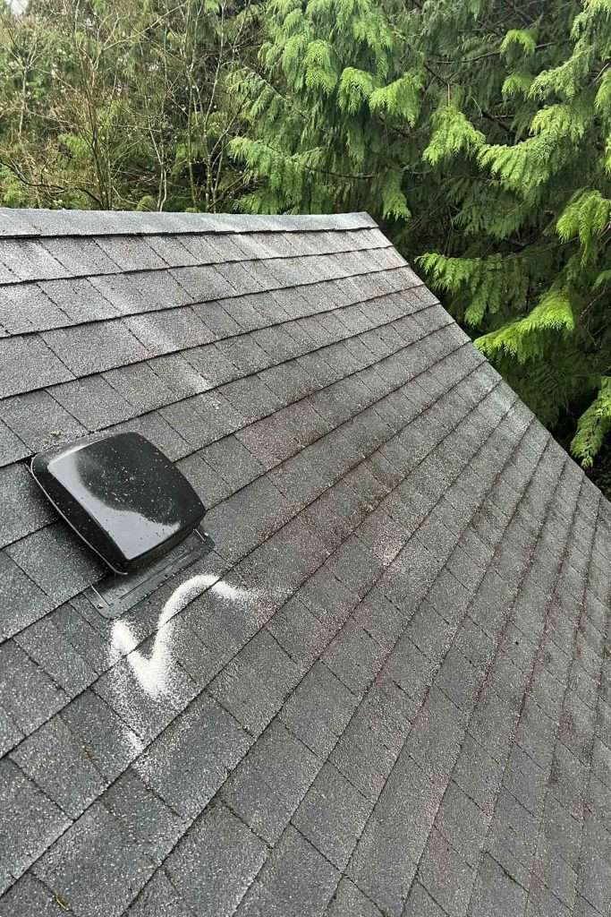 roof cleaning after